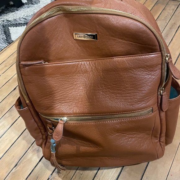 Lily Jade Anna bag